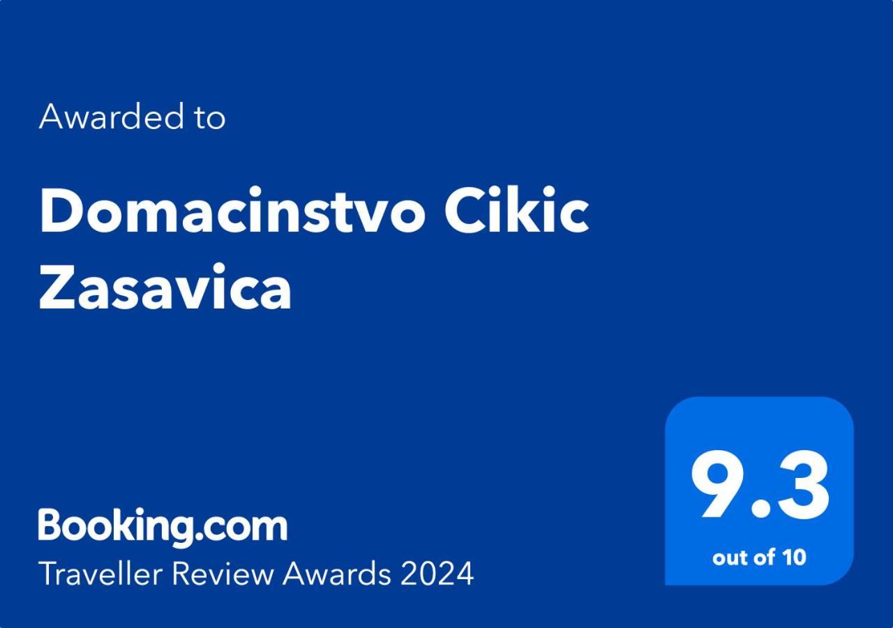 Гостевой дом Domacinstvo Cikic Zasavica Экстерьер фото